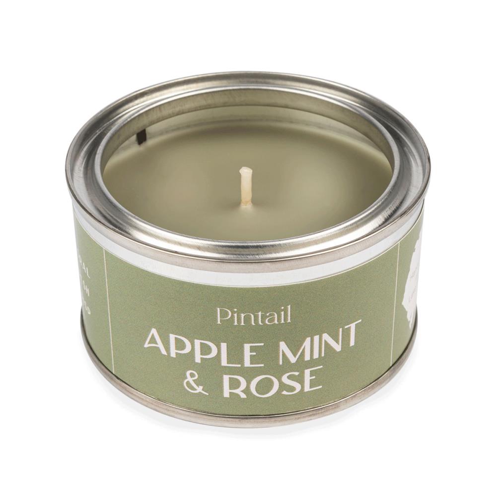 Pintail Candles Apple Mint & Rose Paint Pot Candle Extra Image 2